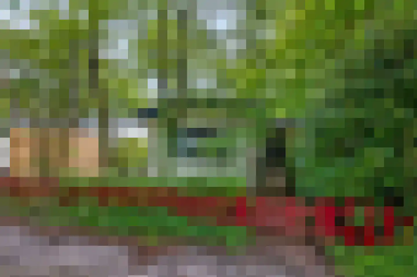 Dwarsweg 5 r 346 Overberg thumbnail 28