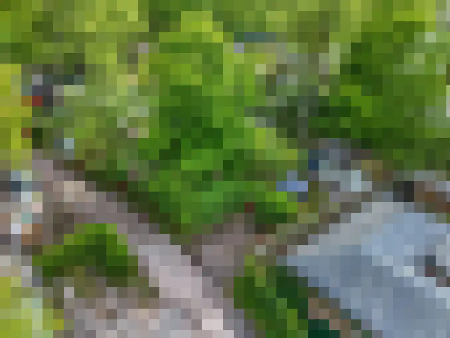 Dwarsweg 5 r 346 Overberg thumbnail 30