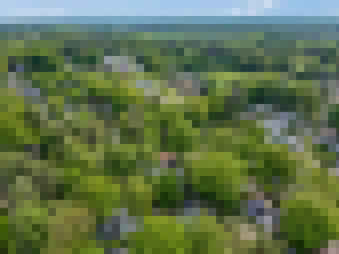 Dwarsweg 5 r 346 Overberg thumbnail 31