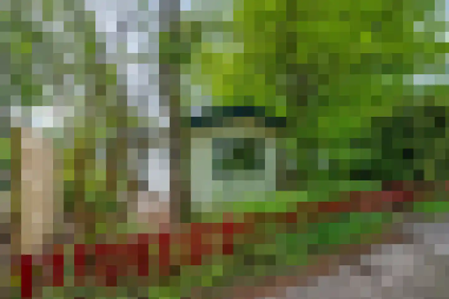 Dwarsweg 5 r 346 Overberg thumbnail 5