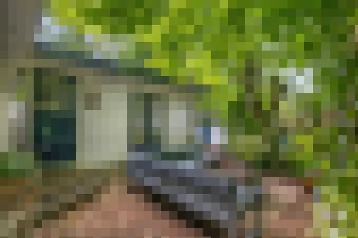 Dwarsweg 5 r 346 Overberg thumbnail 6