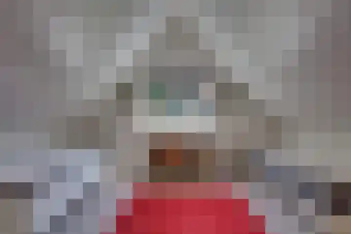 Dwarsweg 6 H611 Lochem thumbnail 13