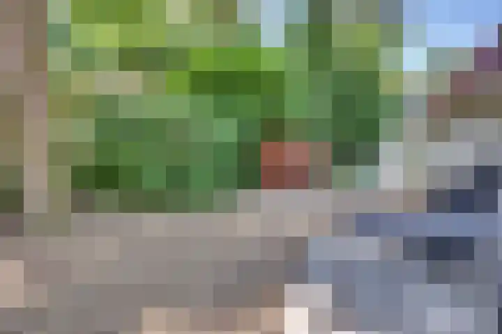 Dwarsweg 6 H611 Lochem thumbnail 17