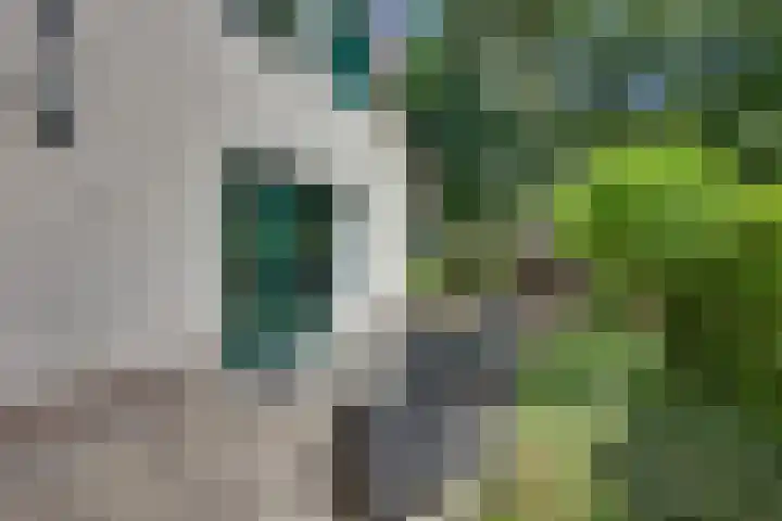 Dwarsweg 6 H611 Lochem thumbnail 19