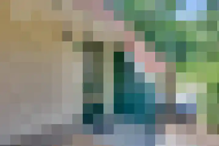 Dwarsweg 6 H611 Lochem thumbnail 20