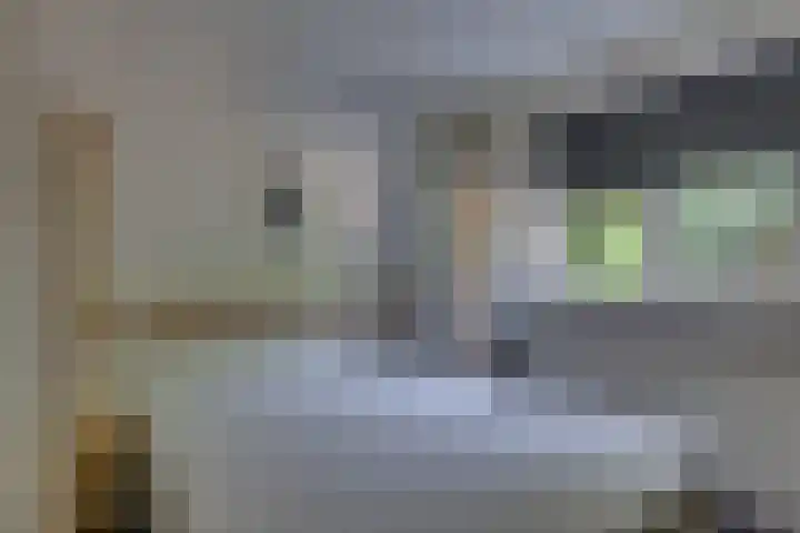 Dwarsweg 6 H611 Lochem thumbnail 9