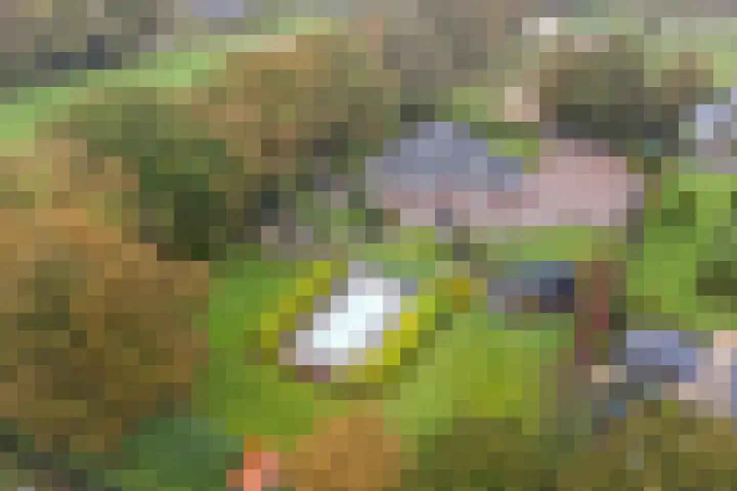 Dwarsweg 71 b Overberg thumbnail 5