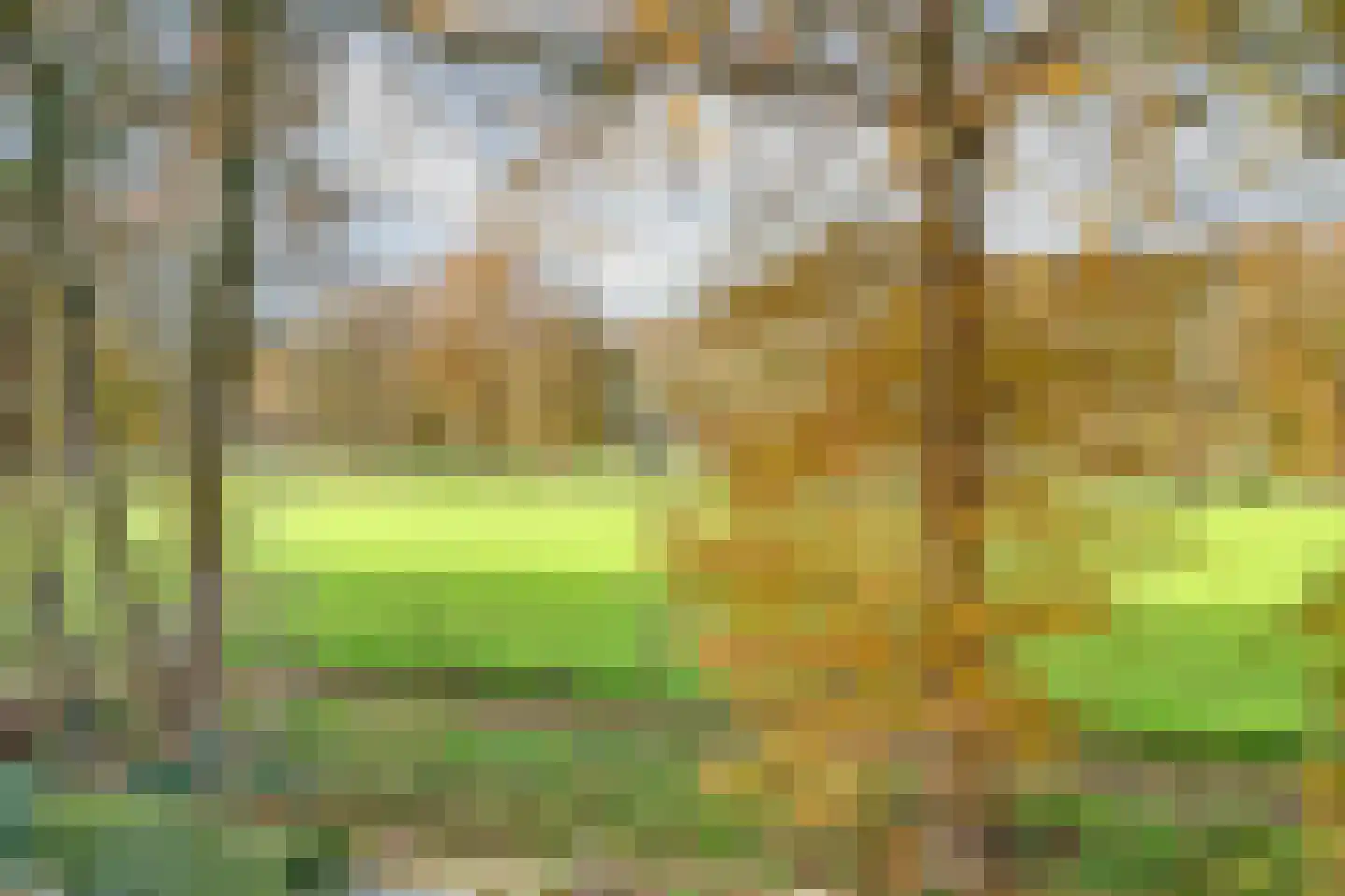 Dwarsweg 71 b Overberg thumbnail 86