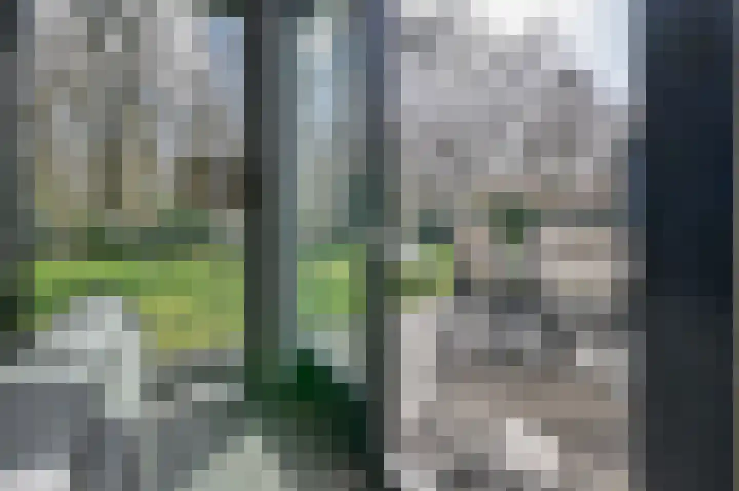 Dwarsweg 73 a r19 Overberg thumbnail 11