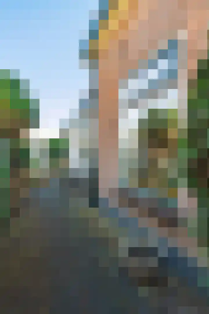 Dwarsweg 9 Zeist thumbnail 21