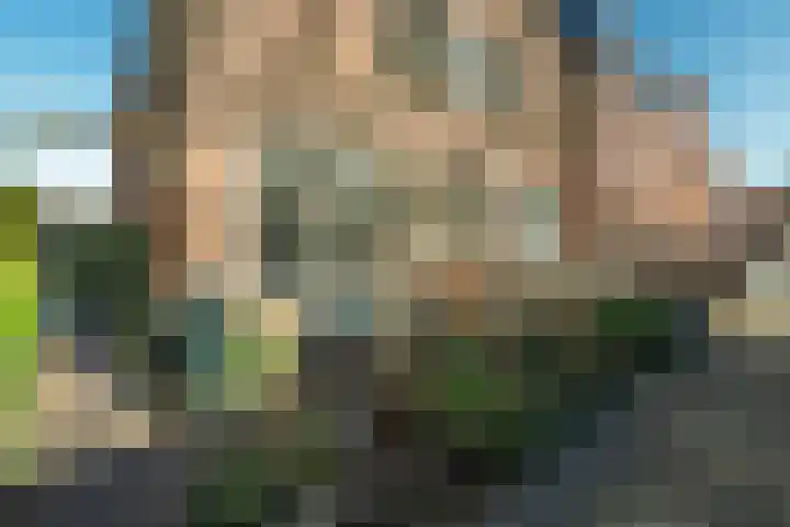 Dwarsweg 9 Zeist thumbnail 22