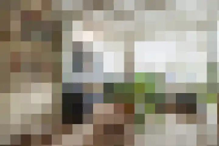 Dwarsweg 9 Zeist thumbnail 4