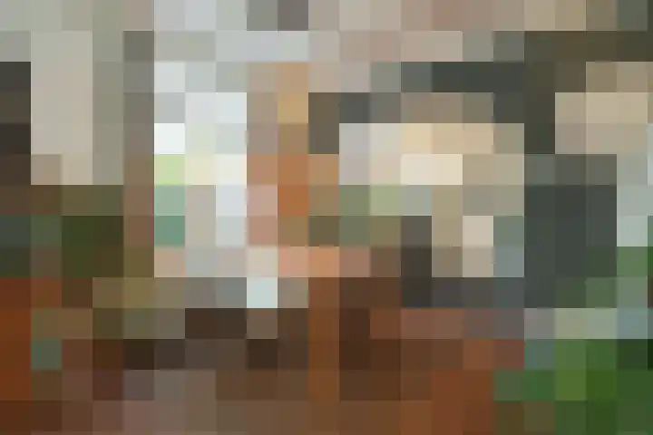 Dwarsweg 9 Zeist thumbnail 7