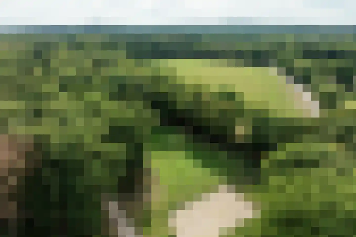 Dwarsweg Overberg thumbnail 4