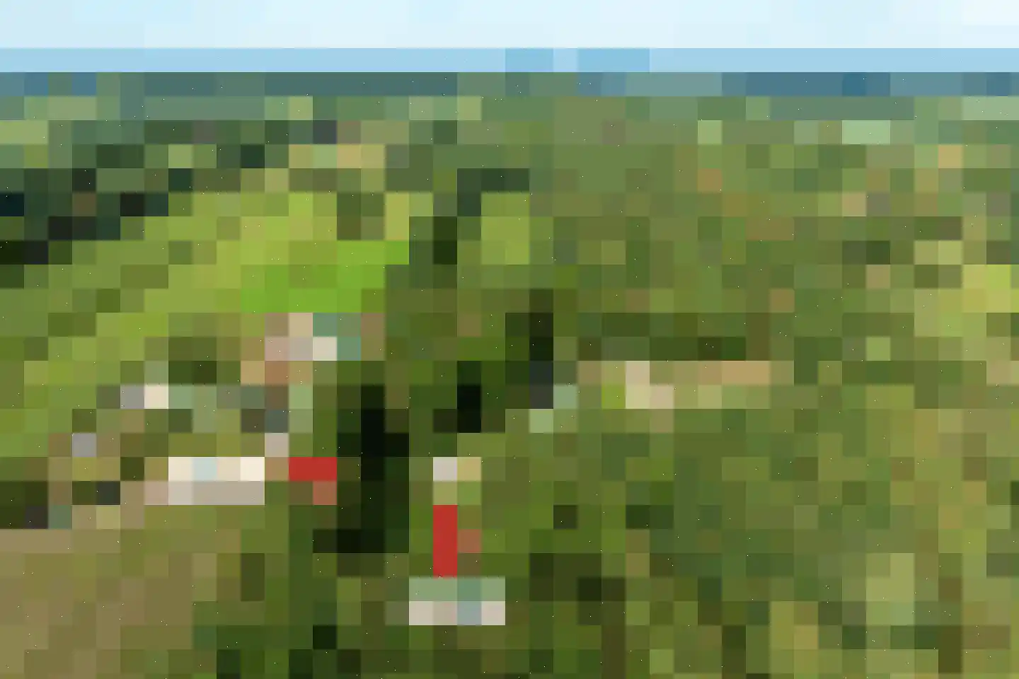 Dwarsweg Overberg thumbnail 5