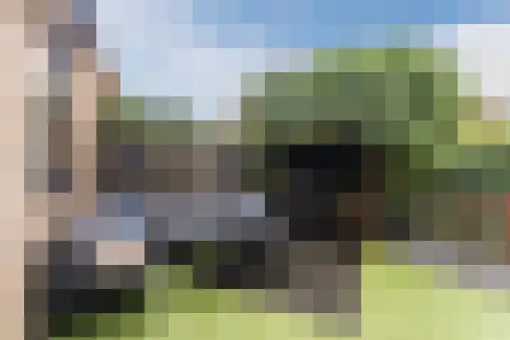 Dwergbieslaan 10 Vleuten thumbnail 14