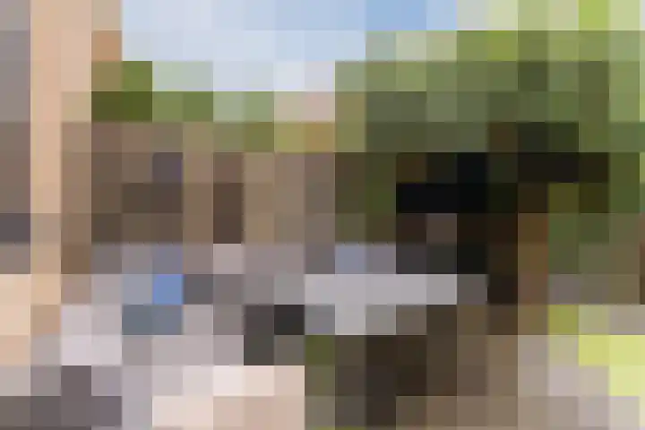 Dwergbieslaan 10 Vleuten thumbnail 15