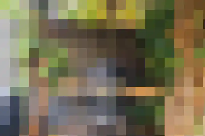 Dwergbieslaan 10 Vleuten thumbnail 16