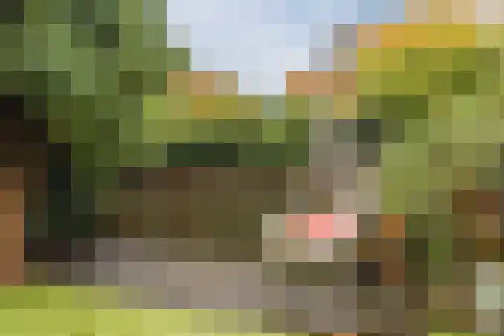 Dwergbieslaan 10 Vleuten thumbnail 17