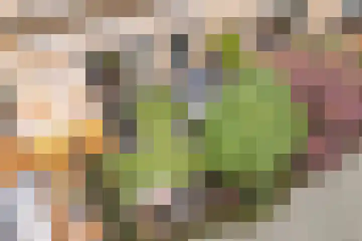 Dwergbieslaan 10 Vleuten thumbnail 18