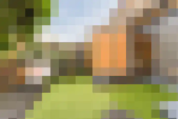 Dwergbieslaan 10 Vleuten thumbnail 21