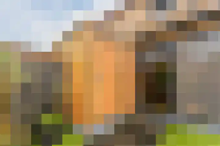Dwergbieslaan 10 Vleuten thumbnail 22
