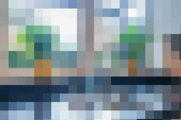 Dwergbieslaan 10 Vleuten thumbnail 28