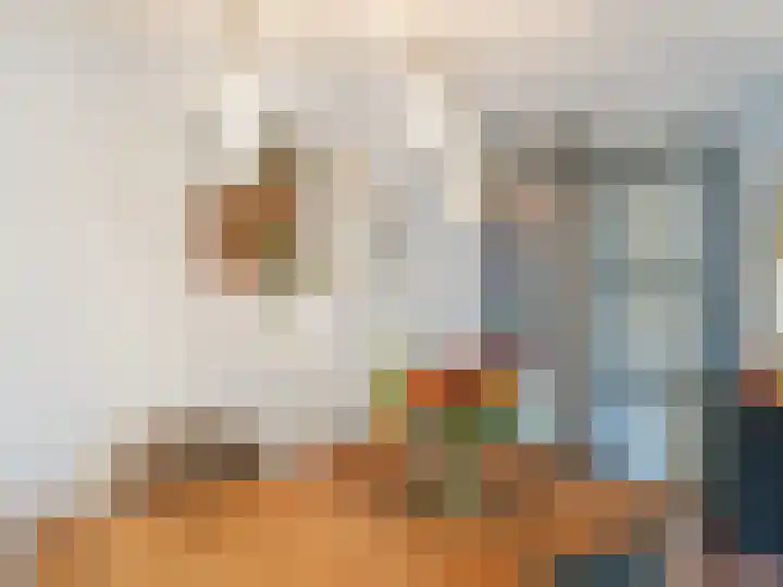 Dwergbieslaan 10 Vleuten thumbnail 30