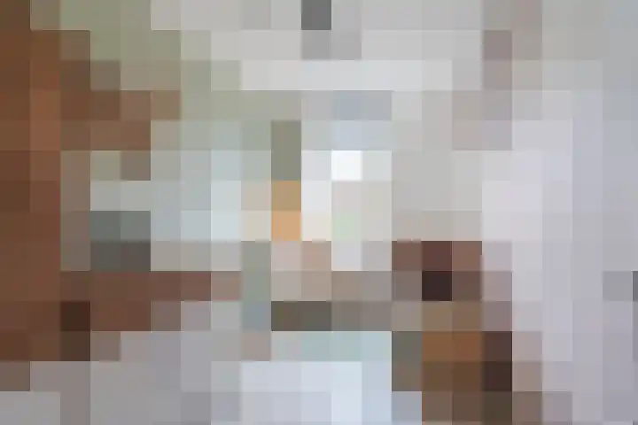 Dwergbieslaan 10 Vleuten thumbnail 33
