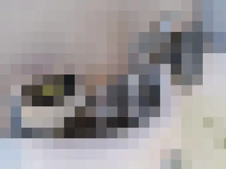 Dwergbieslaan 10 Vleuten thumbnail 42