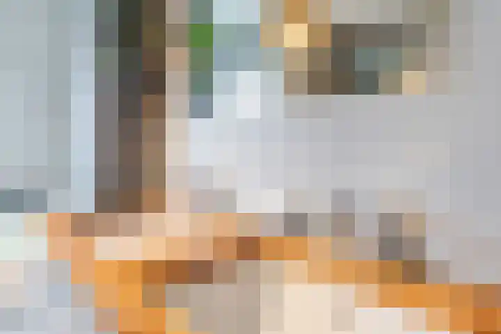 Dwergbieslaan 10 Vleuten thumbnail 43