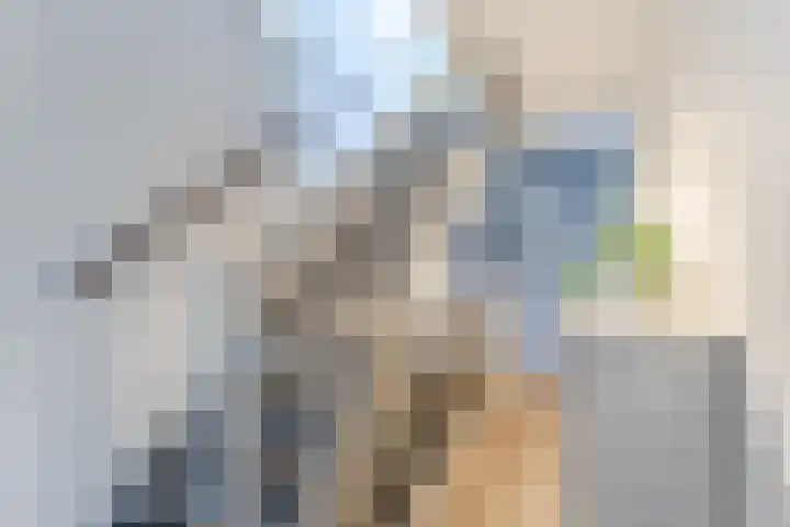 Dwergbieslaan 10 Vleuten thumbnail 51