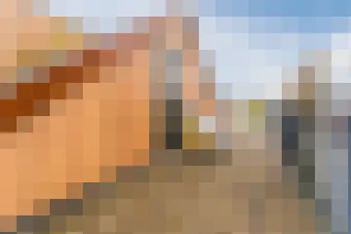 Dwergbieslaan 10 Vleuten thumbnail 57