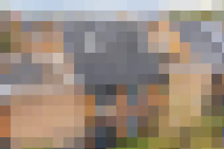 Dwergbieslaan 10 Vleuten thumbnail 60