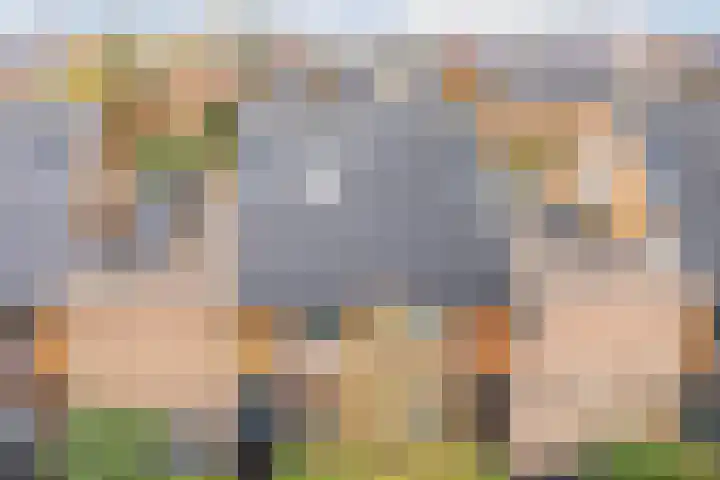 Dwergbieslaan 10 Vleuten thumbnail 61