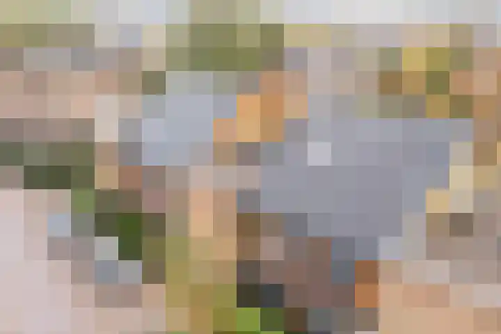 Dwergbieslaan 10 Vleuten thumbnail 63