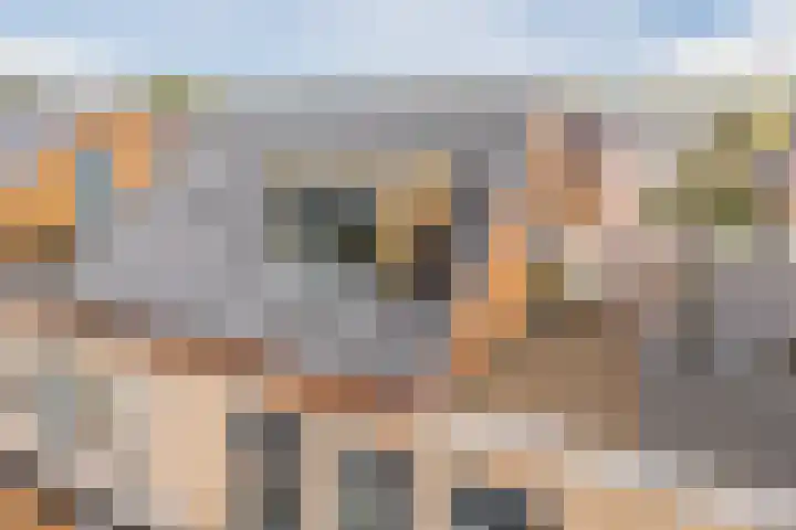 Dwergbieslaan 10 Vleuten thumbnail 65