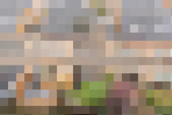 Dwergbieslaan 10 Vleuten thumbnail 66