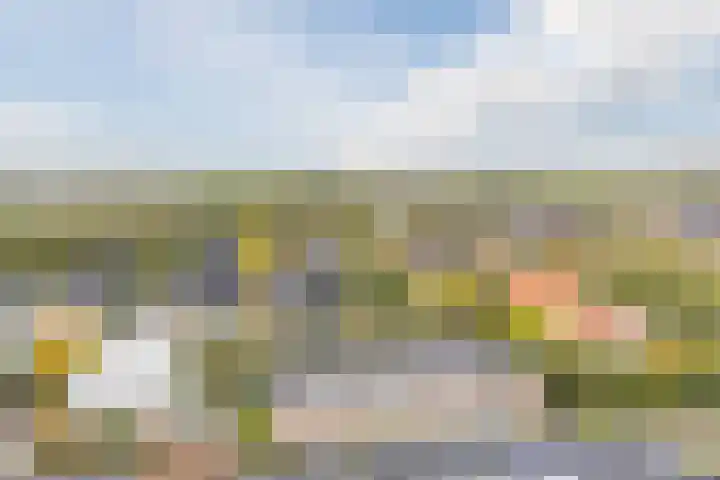 Dwergbieslaan 10 Vleuten thumbnail 67