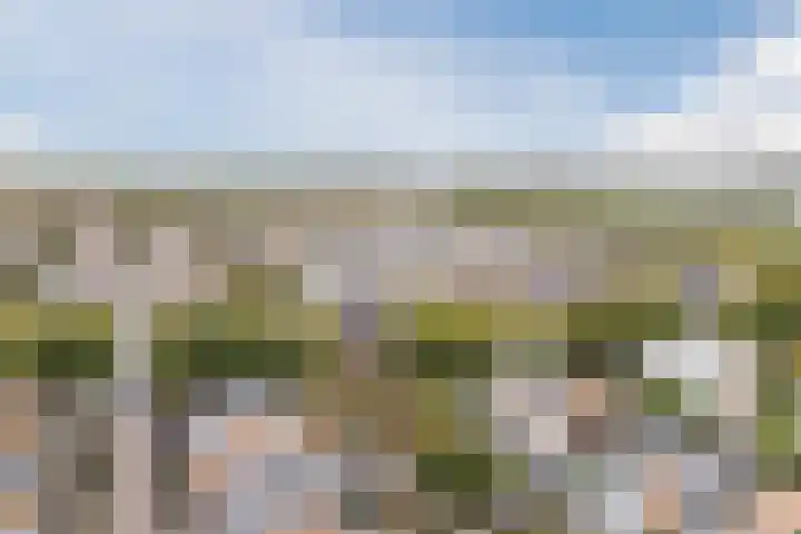 Dwergbieslaan 10 Vleuten thumbnail 68