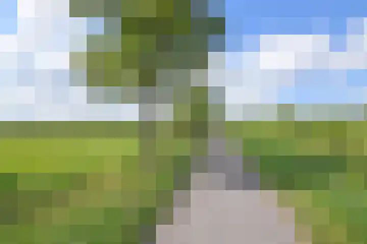 Dwergbieslaan 116 Vleuten thumbnail 33
