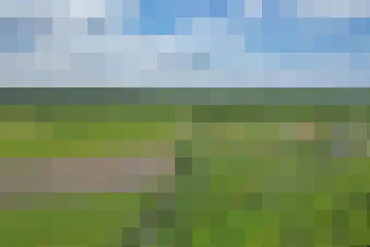 Dwergbieslaan 116 Vleuten thumbnail 34