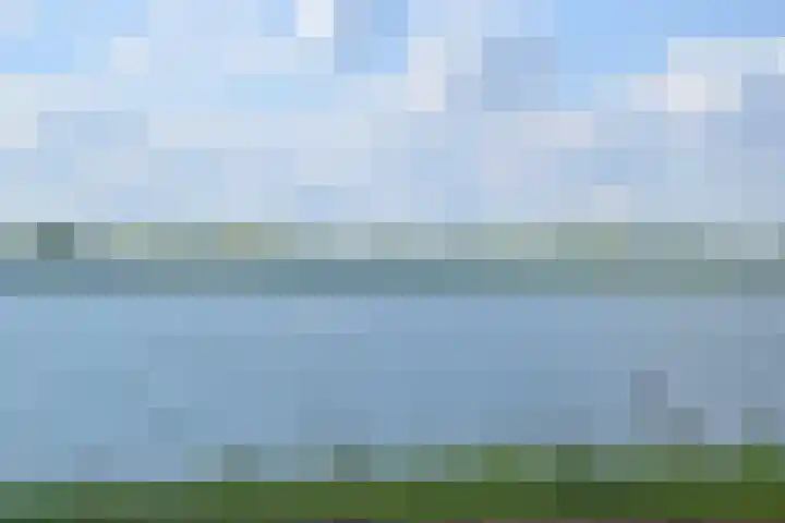Dwergbieslaan 116 Vleuten thumbnail 35