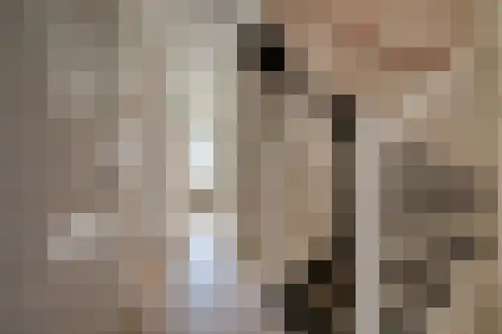Dwergbieslaan 124 Vleuten thumbnail 38