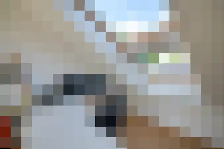 Dwergbieslaan 124 Vleuten thumbnail 54