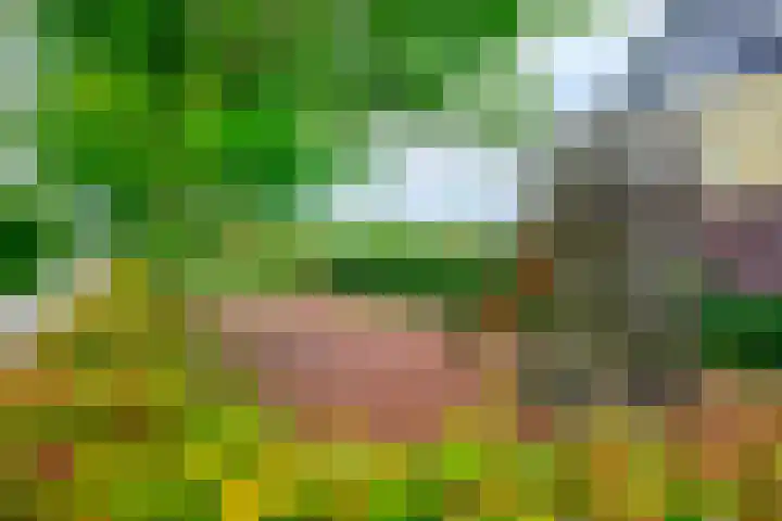Dwergbieslaan 124 Vleuten thumbnail 56