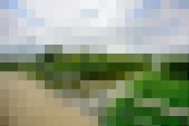 Dwergbieslaan 124 Vleuten thumbnail 57