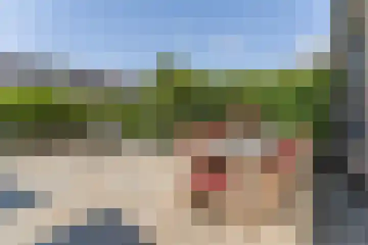 Dwergbieslaan 31 Vleuten thumbnail 11