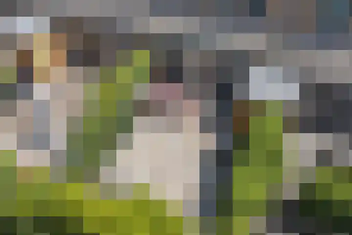 Dwergbieslaan 31 Vleuten thumbnail 14