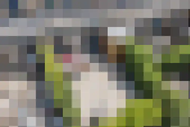 Dwergbieslaan 31 Vleuten thumbnail 18